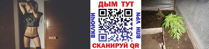 Гашиш Ачинск