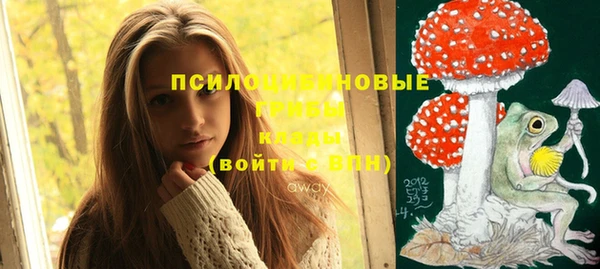 mdma Верхний Тагил