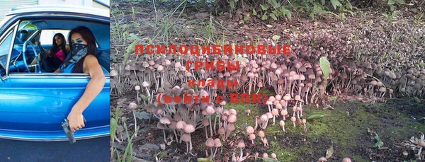 mdma Верхний Тагил