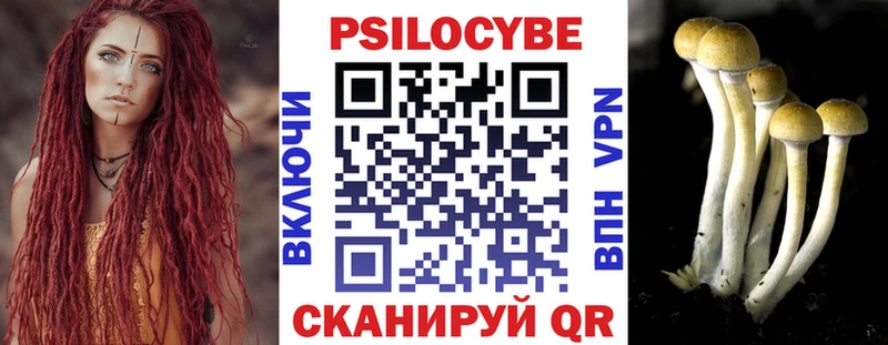 Псилоцибиновые грибы Psilocybine cubensis  наркота  ОМГ ОМГ tor  Ачинск 