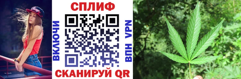 Конопля SATIVA & INDICA  где купить наркоту  Ачинск 